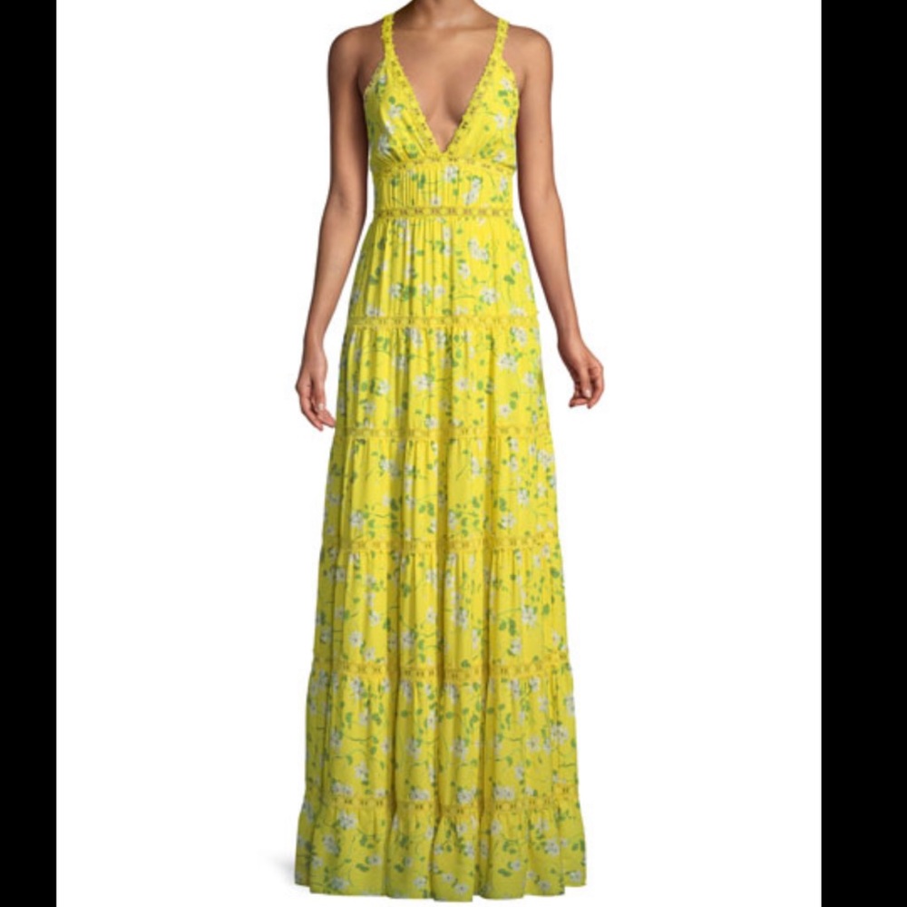 Alice and Olivia Karolina maxi dress